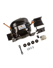 Компресор для холодильника Electrolux 8087948199 JIAXIPERA TT1114GY R600а 220-240V (з пусковим реле)