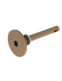 Поршень заварювального блока кавомашини Philips Saeco 9161.343.150 Поршень заварювального блока кавомашини Philips Saeco 9161.343.150