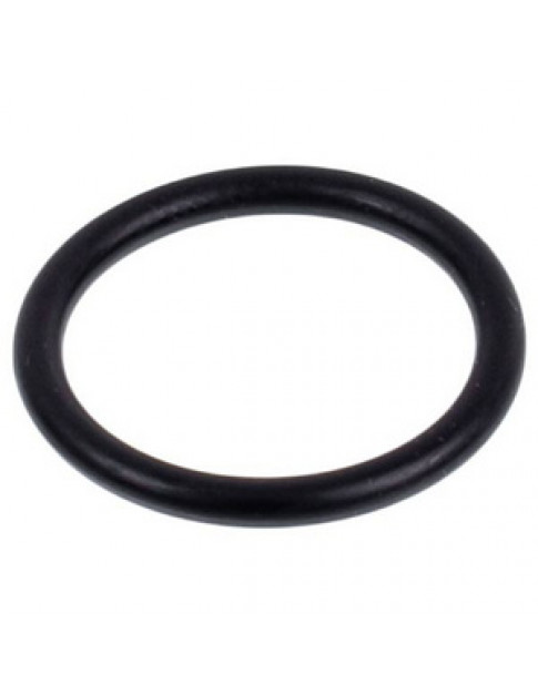 Набір прокладок O-Ring 19*15*2 мм (10 шт.) теплообмінника ГВП для газового котла Vaillant 981163