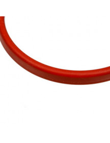 Прокладка фільтра-сито D=54mm для кавоварки Philips Saeco 996530015878