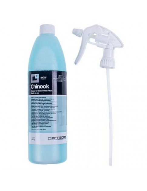 Очищувач фільтрів внутрішнього блоку кондиціонера ERRECOM AB1077.K.01  (1000ml) Chinook