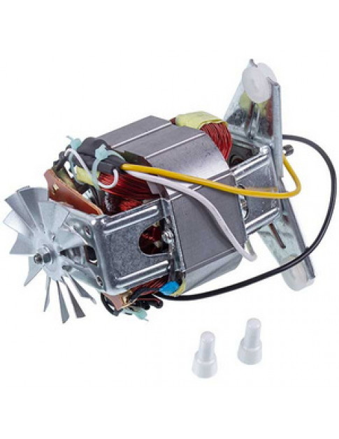 Двигун для соковижималки Moulinex FS-9100029349