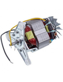 Двигун для соковижималки Moulinex FS-9100029349