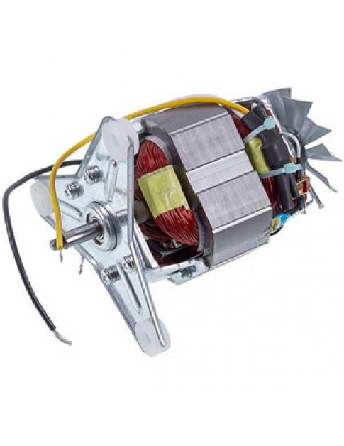 Двигун для соковижималки Moulinex FS-9100029349