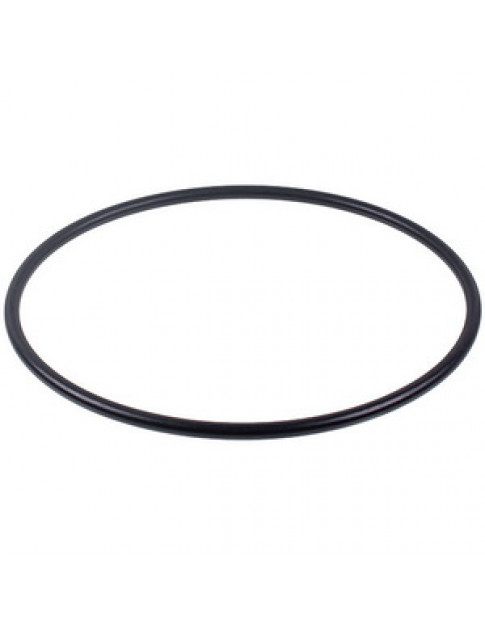 Ущільнювач O-Ring 8725 шприца для начинки ковбас Sirman LF1211002 200x185x7mm