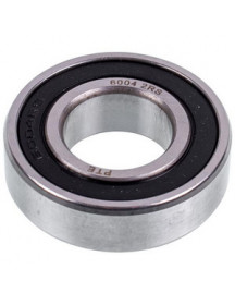 Підшипник 6004 (42x20x12mm) для картоплечистки Equipe PSP700 LF9063012