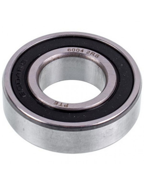 Підшипник 6004 (42x20x12mm) для картоплечистки Equipe PSP700 LF9063012