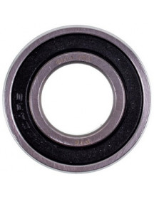 Підшипник 6004 (42x20x12mm) для картоплечистки Equipe PSP700 LF9063012