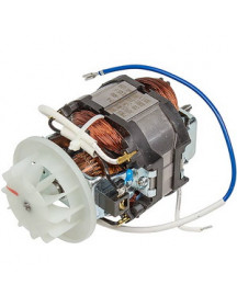 Двигун для блендера Moulinex MS-0A11379