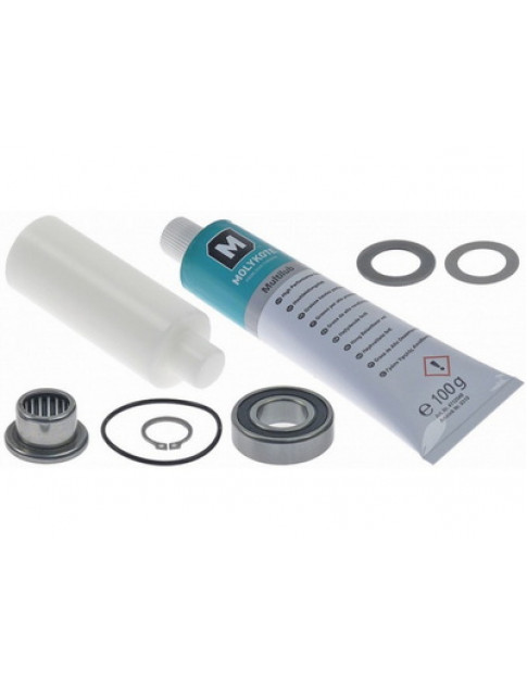 Підшипник для овочерізки Robot Coupe RC39273 SKF 6004-2RS (20x42x12) з ремонтним набором