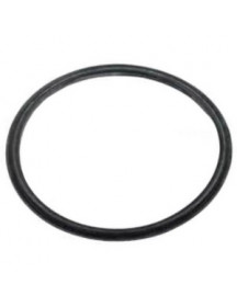 Ущільнювач фільтра контейнера для пилососа Rowenta SS-2230003573